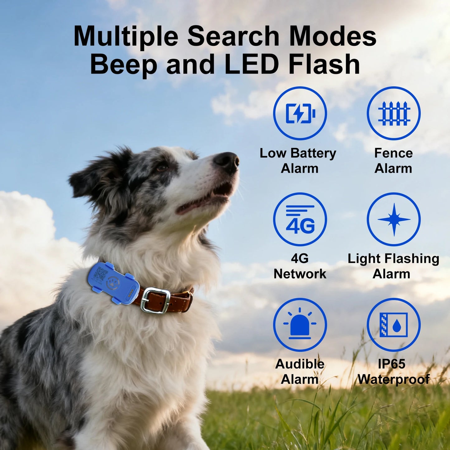 4G GPS Pet Tracker for Dogs Cats Real Time Locator