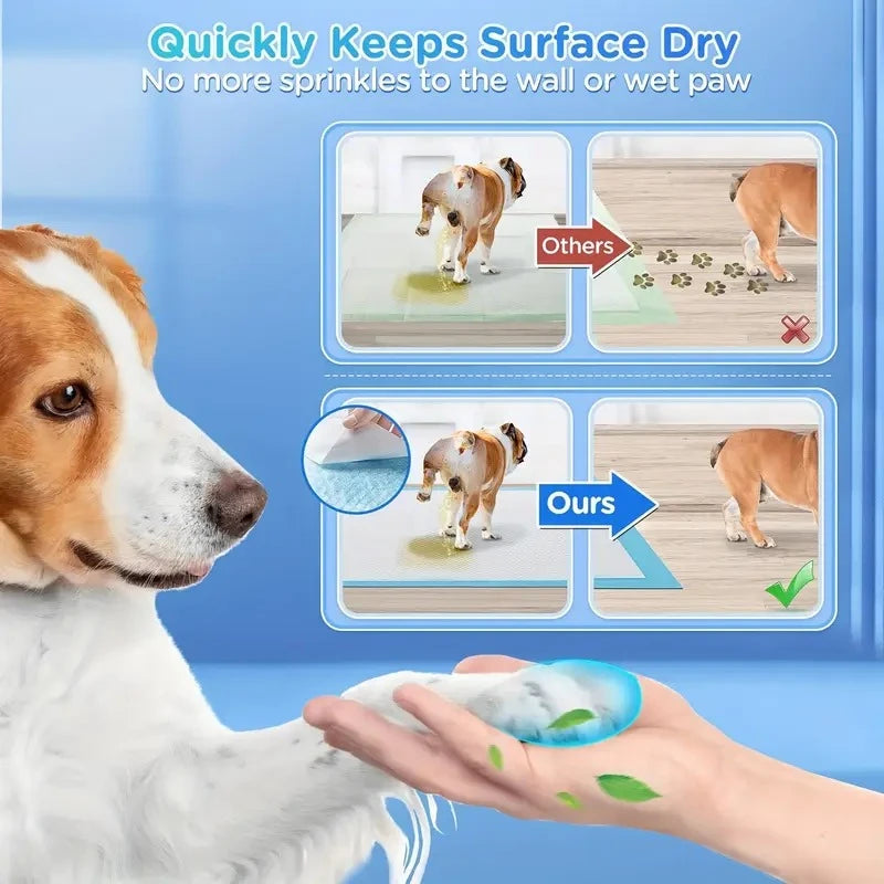 Leak-Proof Dog Pee Pads for Potty Training with Quick Dry Design