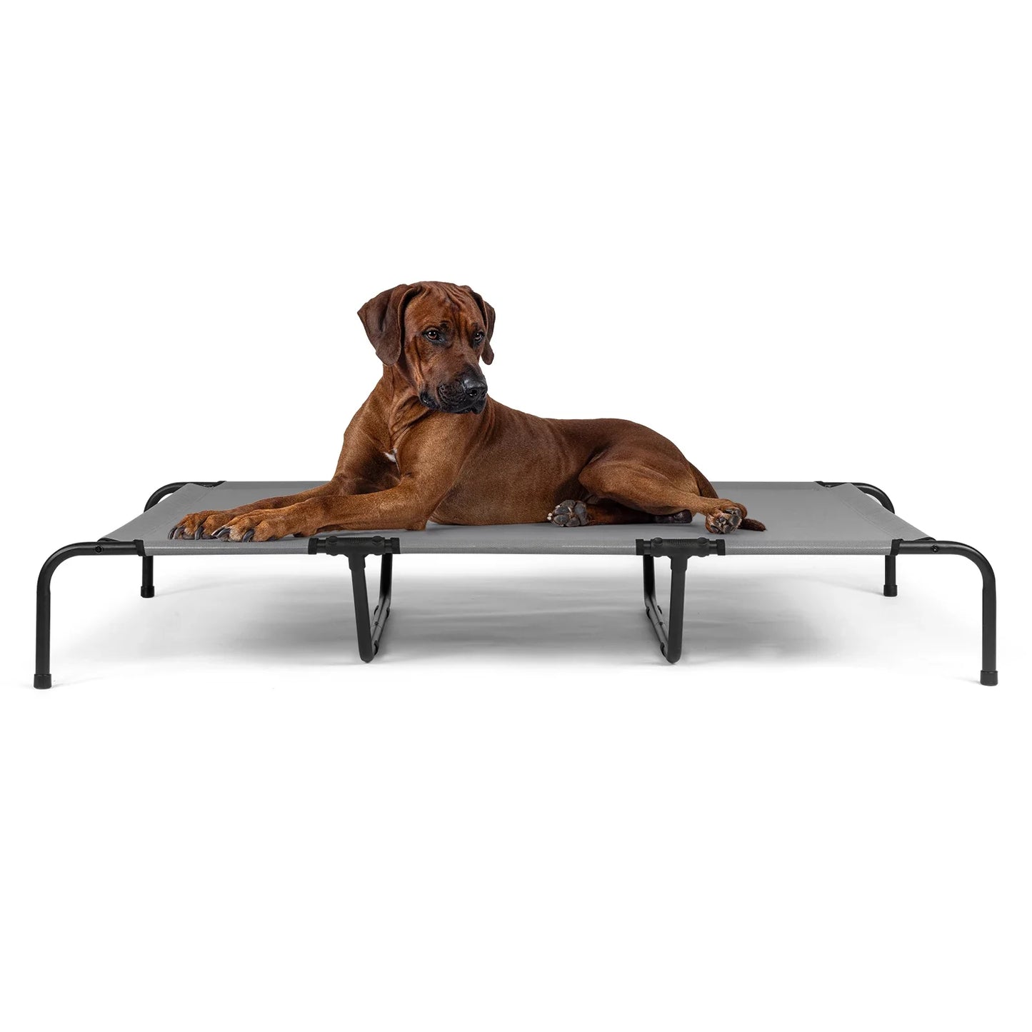 Cooling Elevated Dog Bed Chew Proof Mesh Steel Frame
