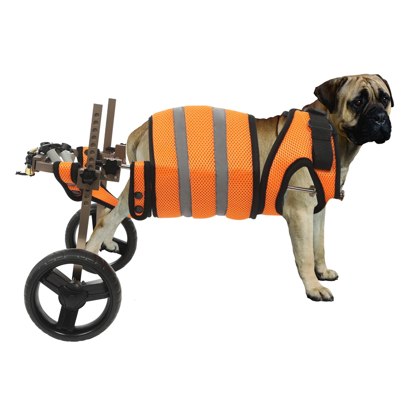 Adjustable Pet Wheelchair For Back Legs Aluminum Frame