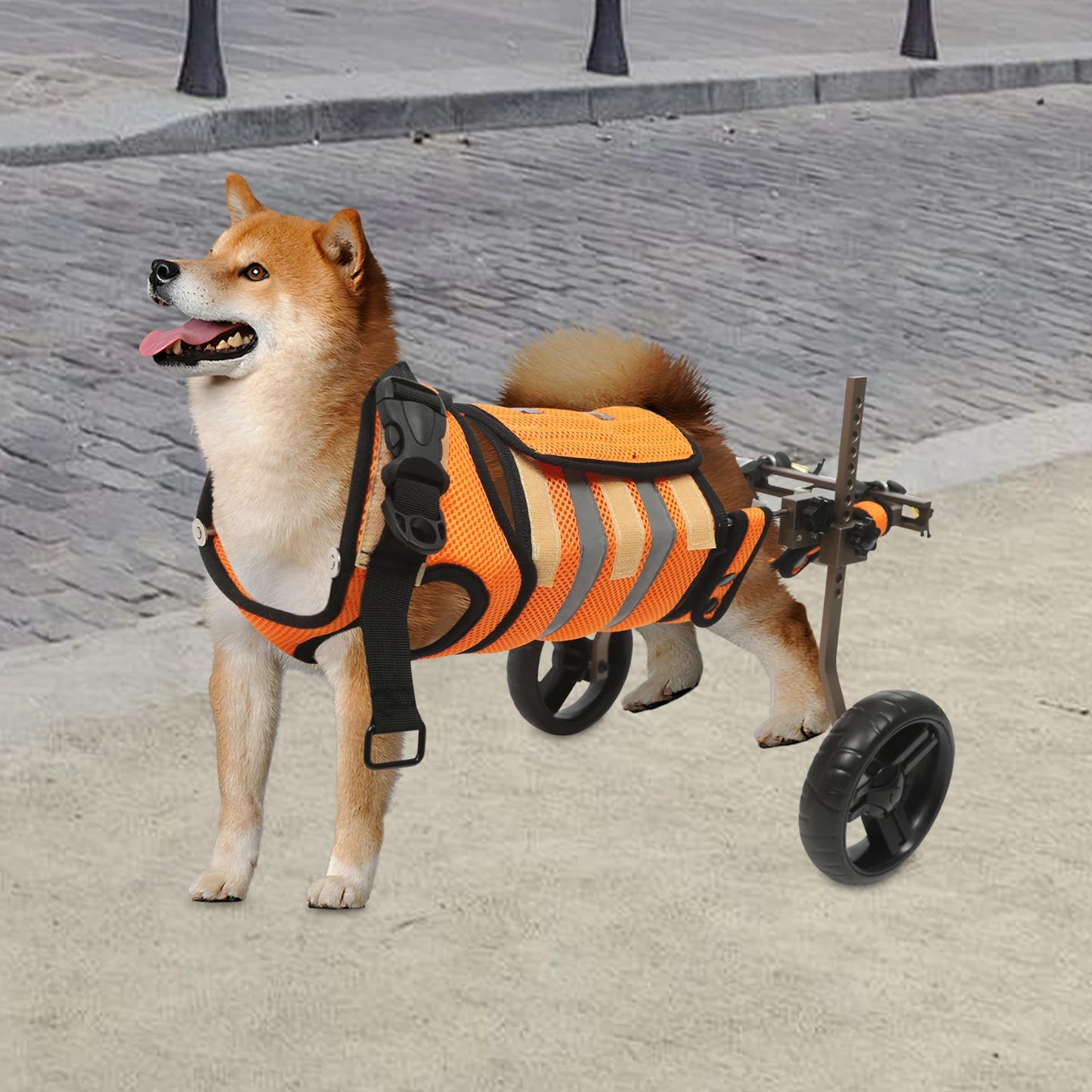 Adjustable Pet Wheelchair For Back Legs Aluminum Frame