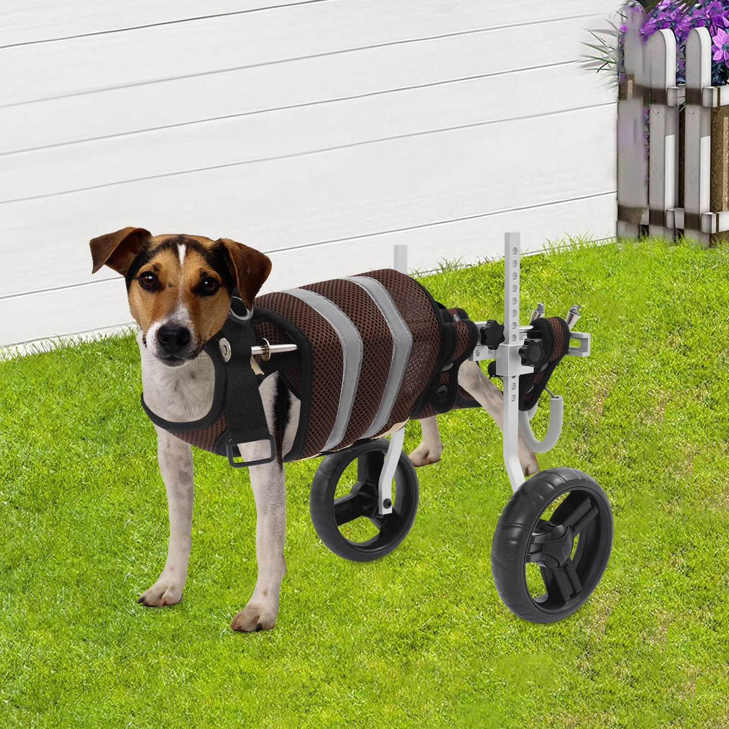 Adjustable Pet Wheelchair For Back Legs Aluminum Frame