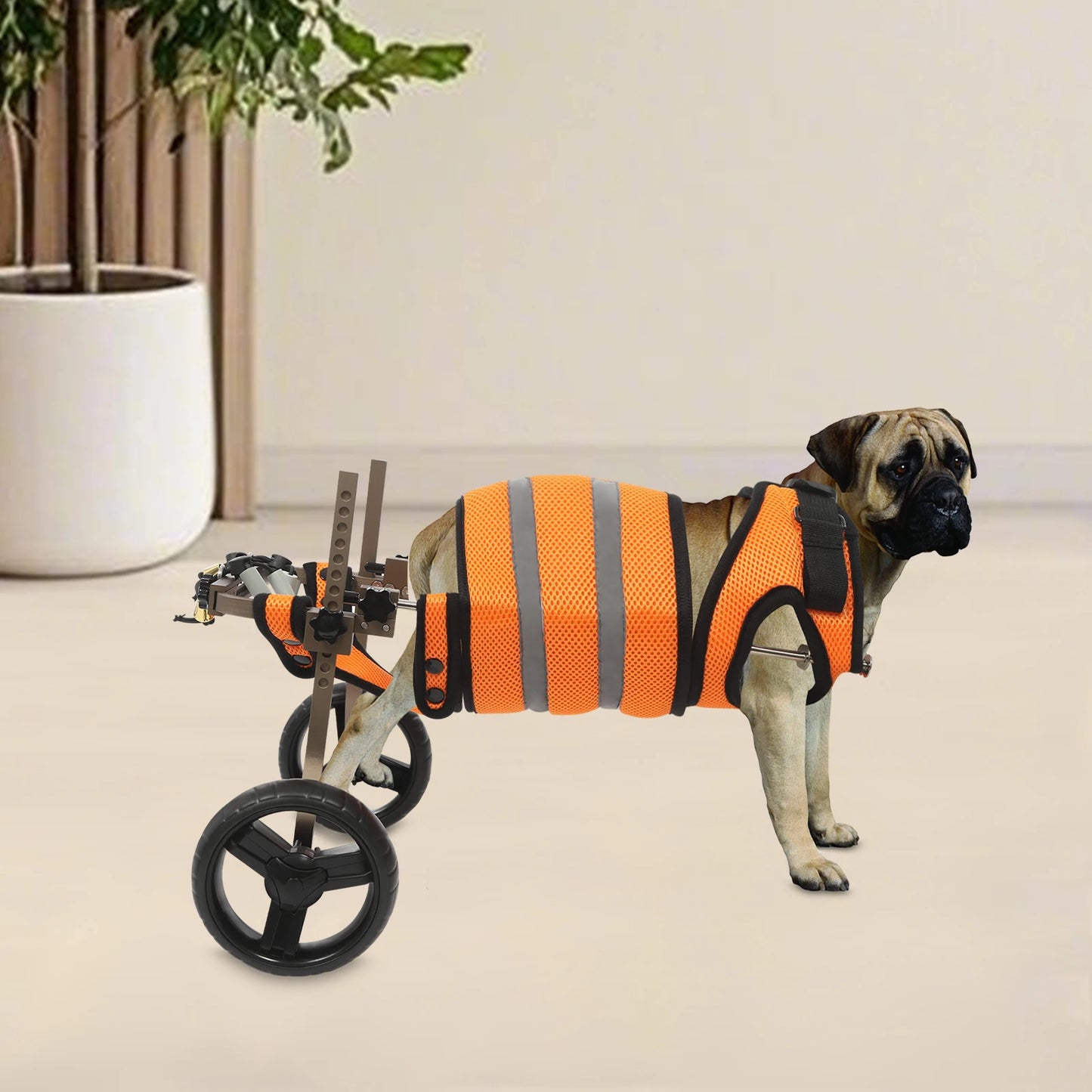 Adjustable Pet Wheelchair For Back Legs Aluminum Frame