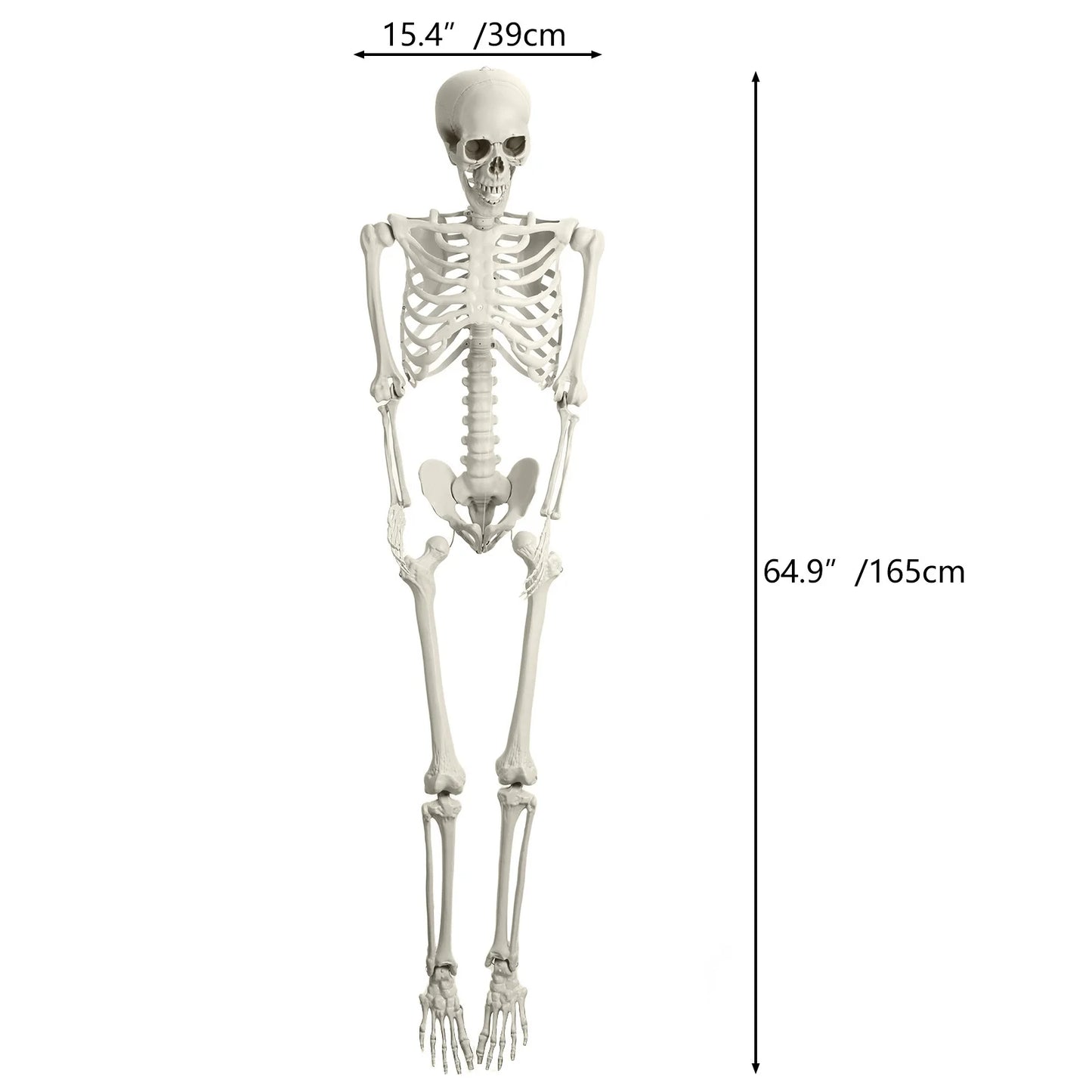 Light Up Skeleton With Movable Joints And Glowing Eyes
