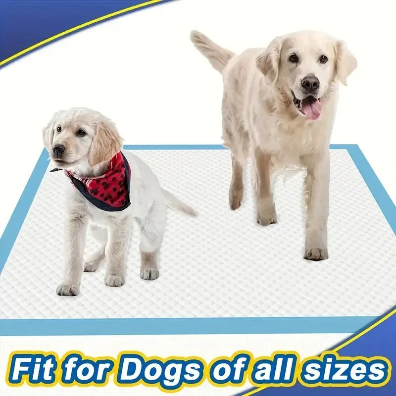 Leak-Proof Dog Pee Pads for Potty Training with Quick Dry Design