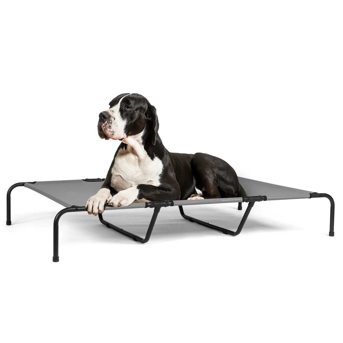 Cooling Elevated Dog Bed Chew Proof Mesh Steel Frame
