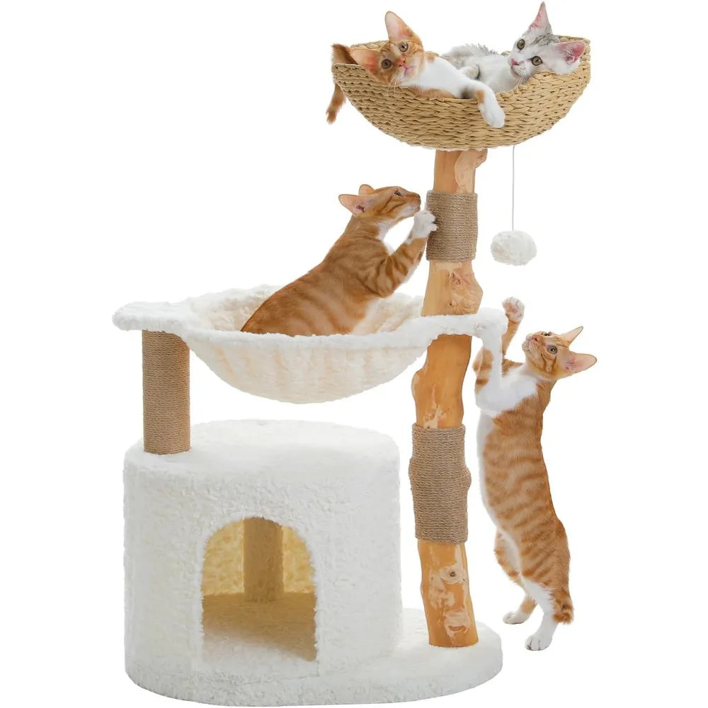 Modern Cat Tree with Natural Wood Scratching Post and Hammock