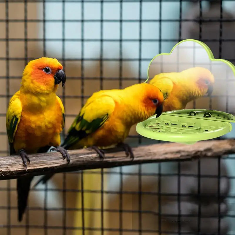 Bird Mirror with Perch for Cockatiels and Parakeets