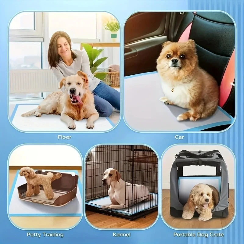 Leak-Proof Dog Pee Pads for Potty Training with Quick Dry Design