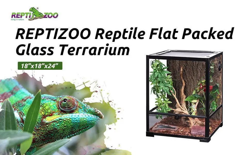 Large Glass Reptile Terrarium with Front Opening and Ventilation