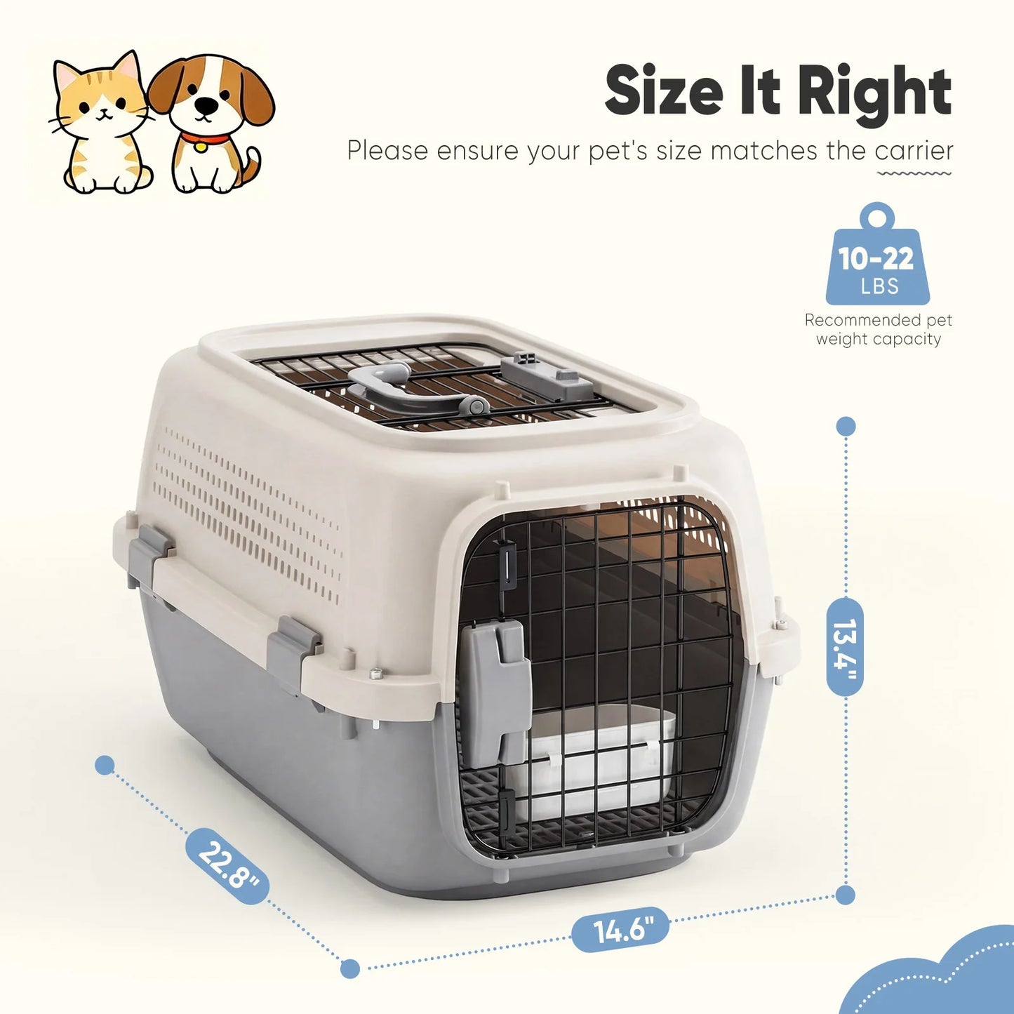 Dual-Entry Hard-Sided Pet Carrier for Cats & Small Dogs – 10–22 lb