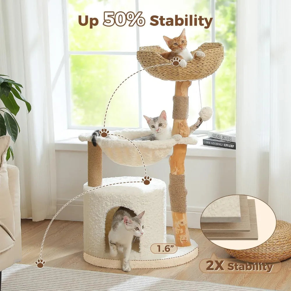 Modern Cat Tree with Natural Wood Scratching Post and Hammock