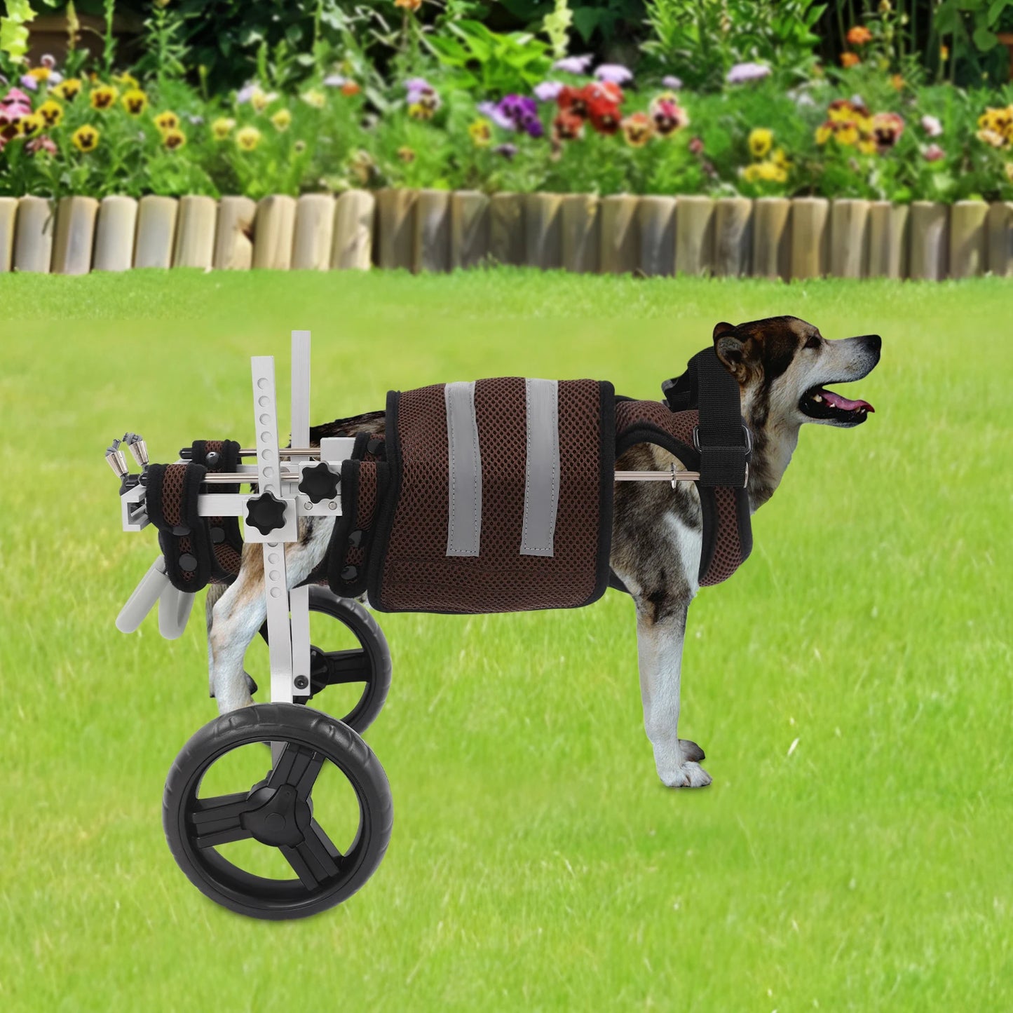 Adjustable Pet Wheelchair For Back Legs Aluminum Frame