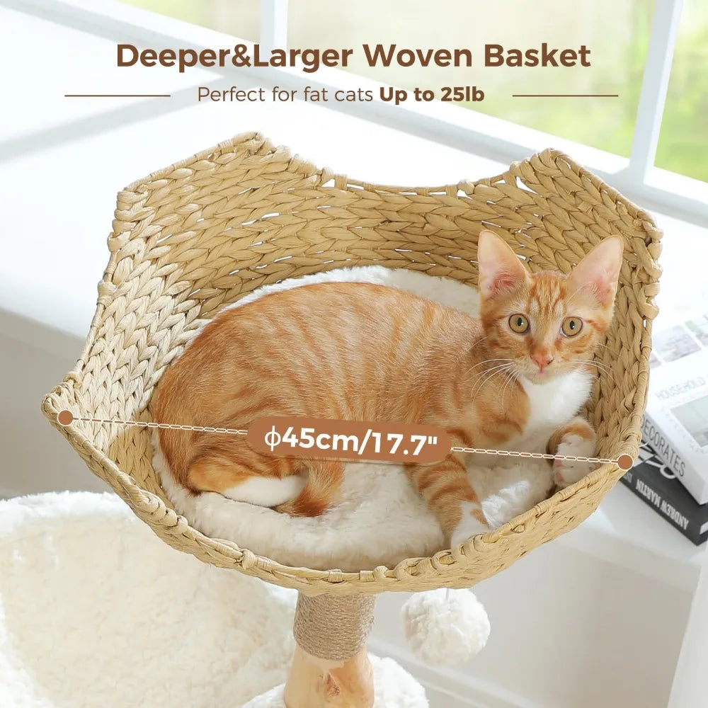Modern Cat Tree with Natural Wood Scratching Post and Hammock