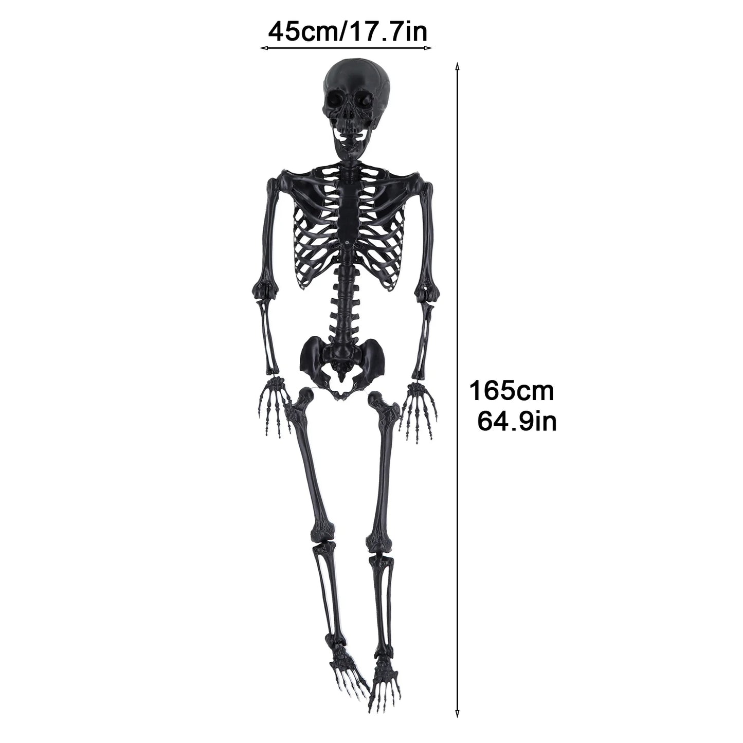 Light Up Skeleton With Movable Joints And Glowing Eyes