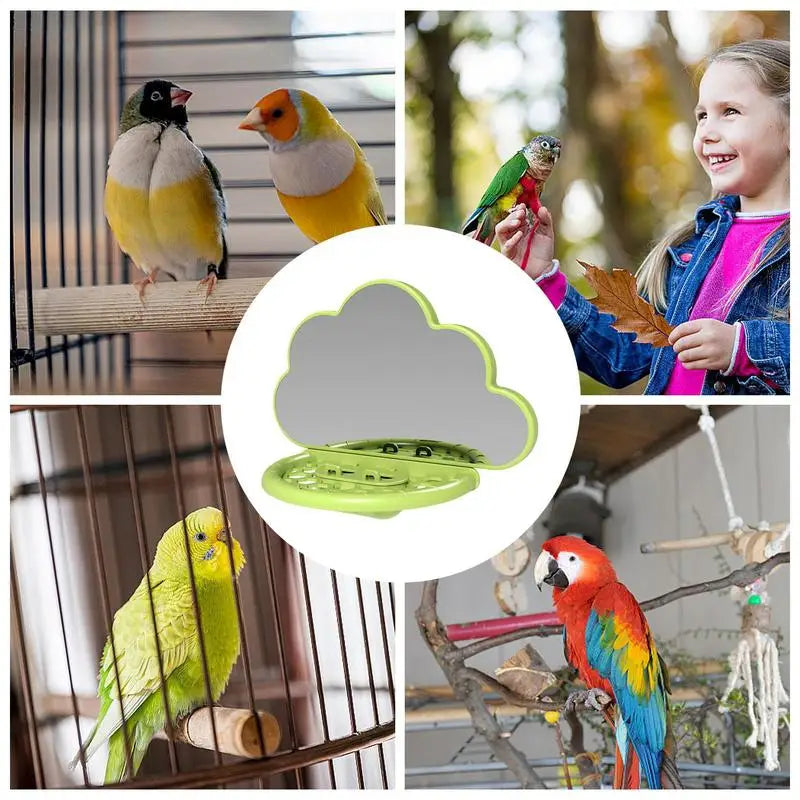 Bird Mirror with Perch for Cockatiels and Parakeets