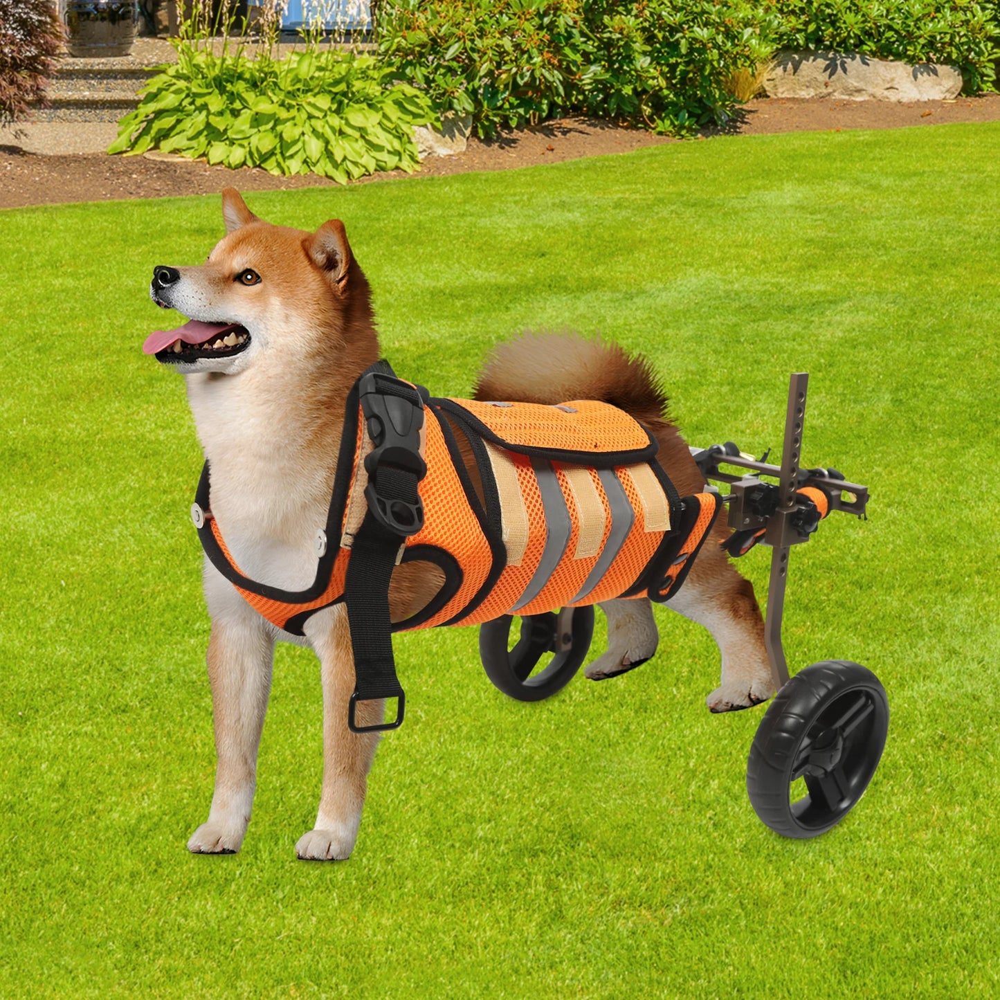 Adjustable Pet Wheelchair For Back Legs Aluminum Frame