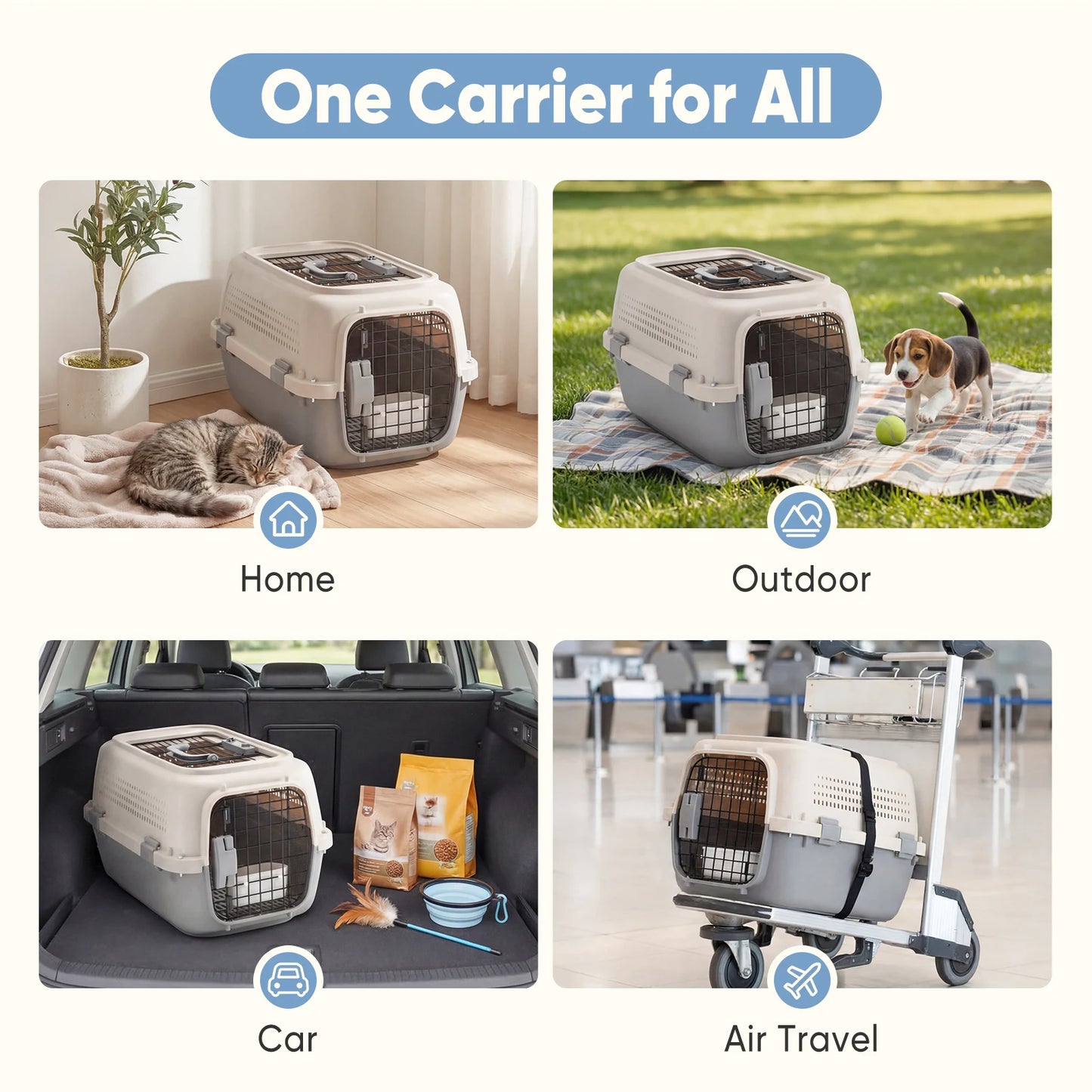 Dual-Entry Hard-Sided Pet Carrier for Cats & Small Dogs – 10–22 lb