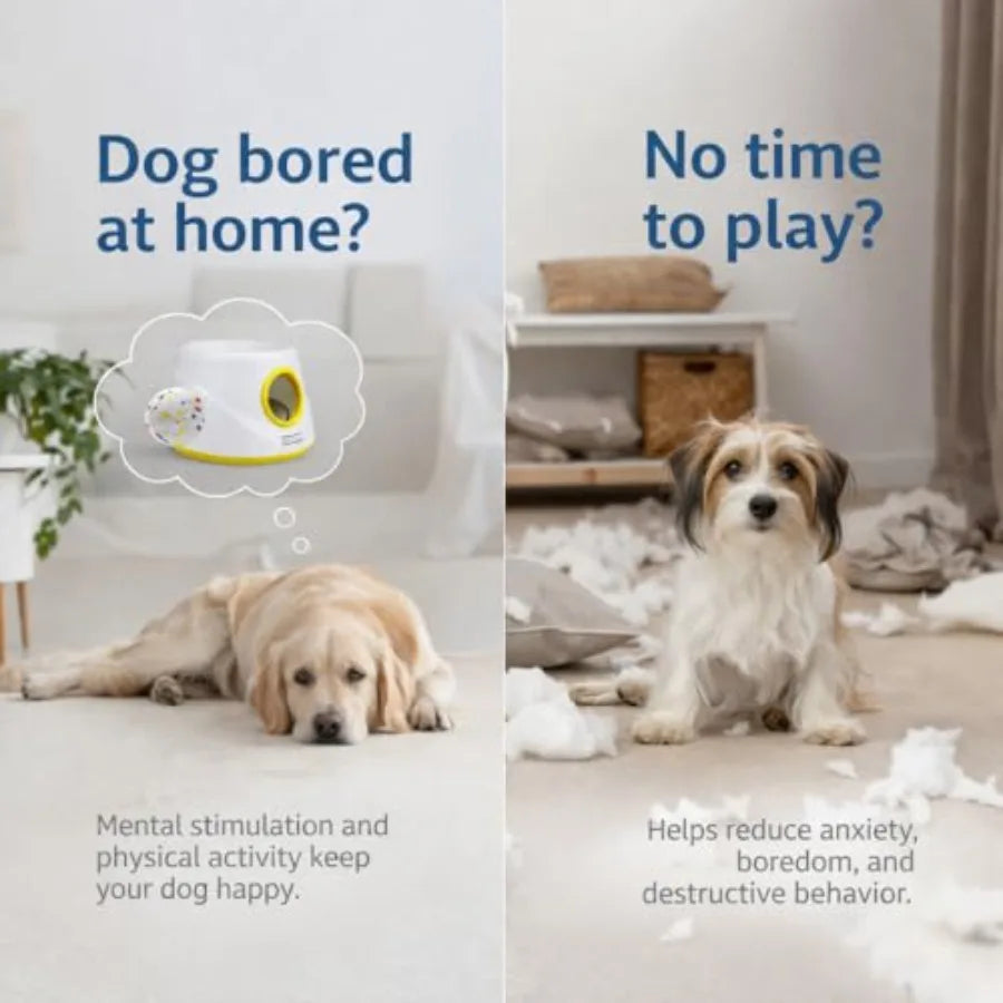 Automatic Dog Ball Launcher With Adjustable Distances