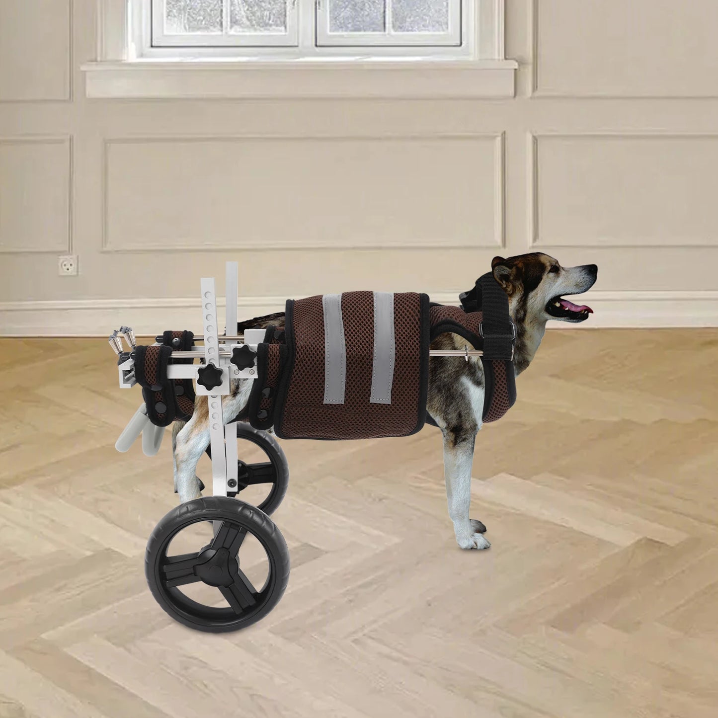 Adjustable Pet Wheelchair For Back Legs Aluminum Frame