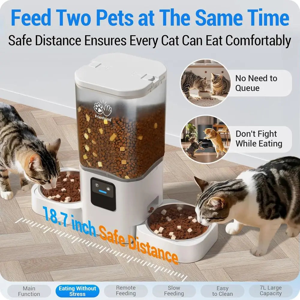 Dual Automatic Pet Feeder With Slow Feed And Detachable Bowls