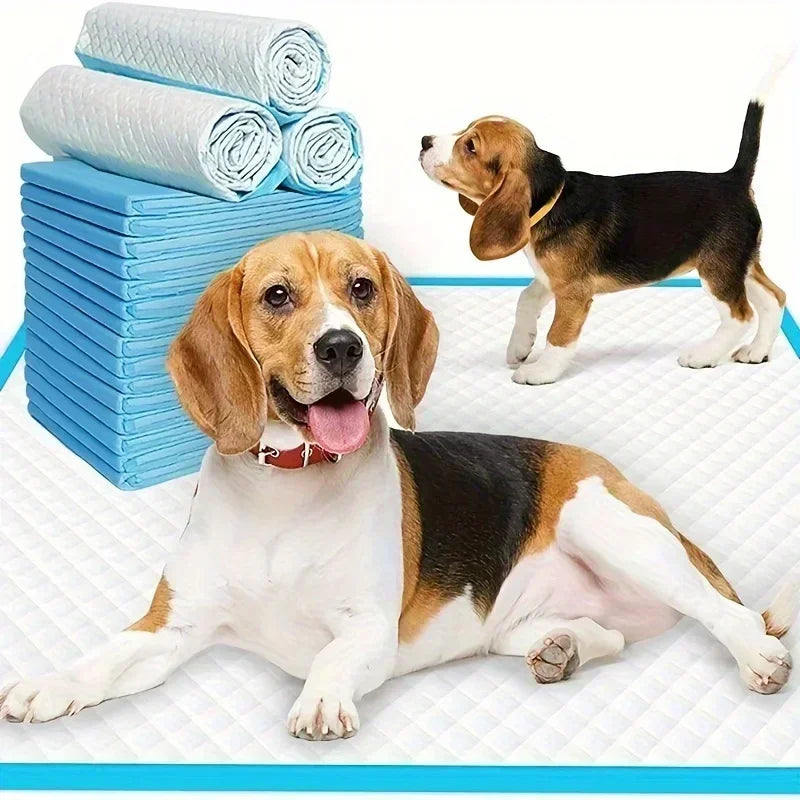 Super Absorbent Odor Control Disposable Dog Diapers and Training Pads