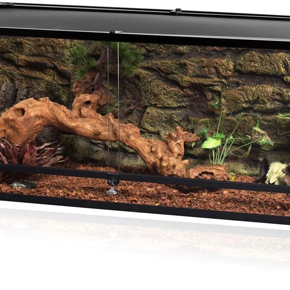 Glass Front Reptile Terrarium With Sliding Screen Door Ventilation