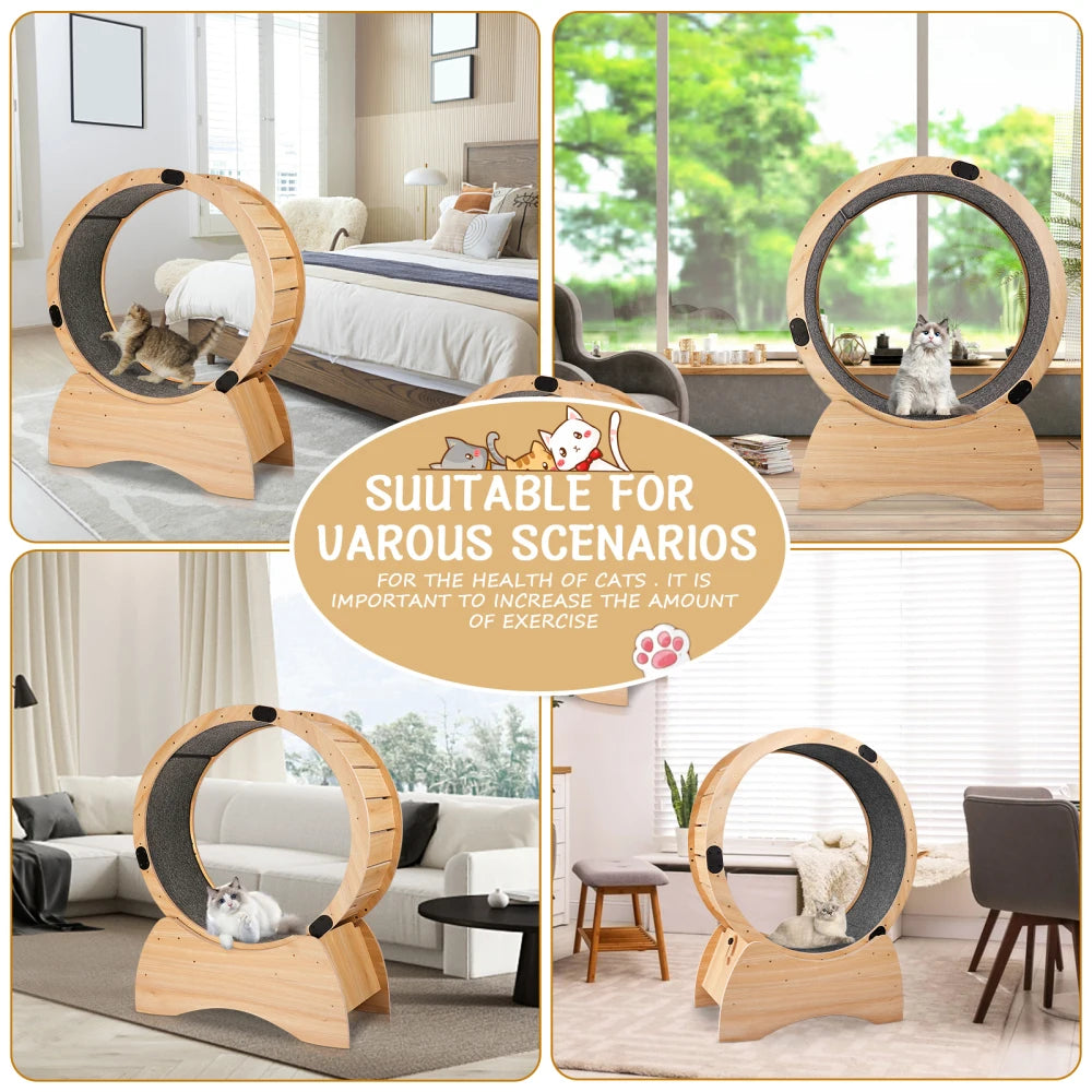 Cat Exercise Wheel Treadmill For Running Spinning Scratching