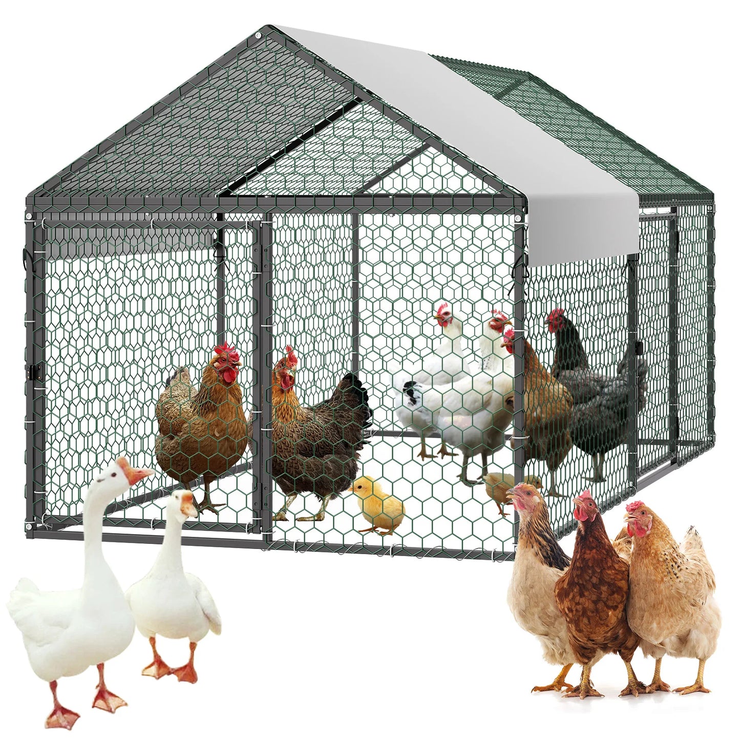 Durable Metal Chicken Coop With Waterproof Cover And Secure Run