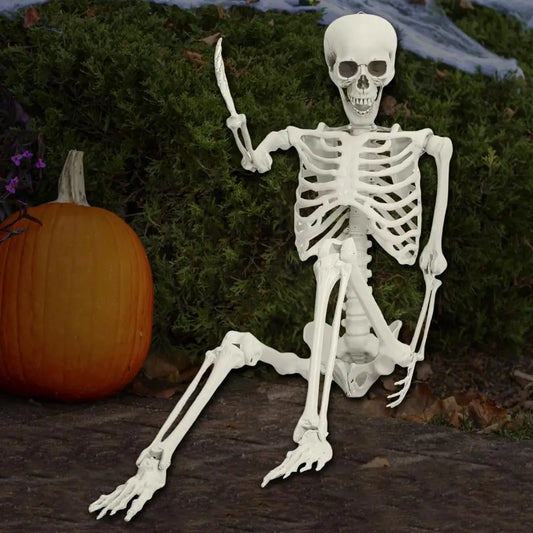 Poseable Skeleton Prop for Halloween Decoration and Party