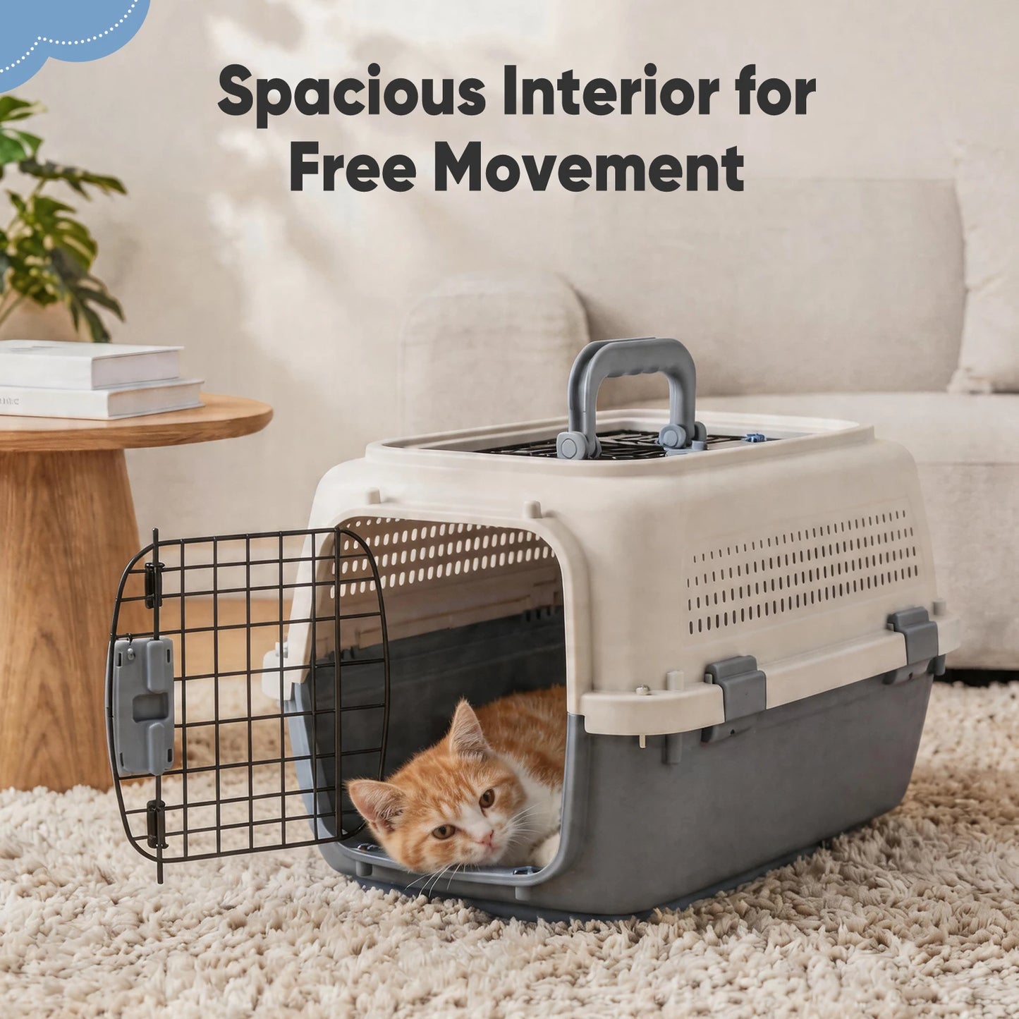 Dual-Entry Hard-Sided Pet Carrier for Cats & Small Dogs – 10–22 lb