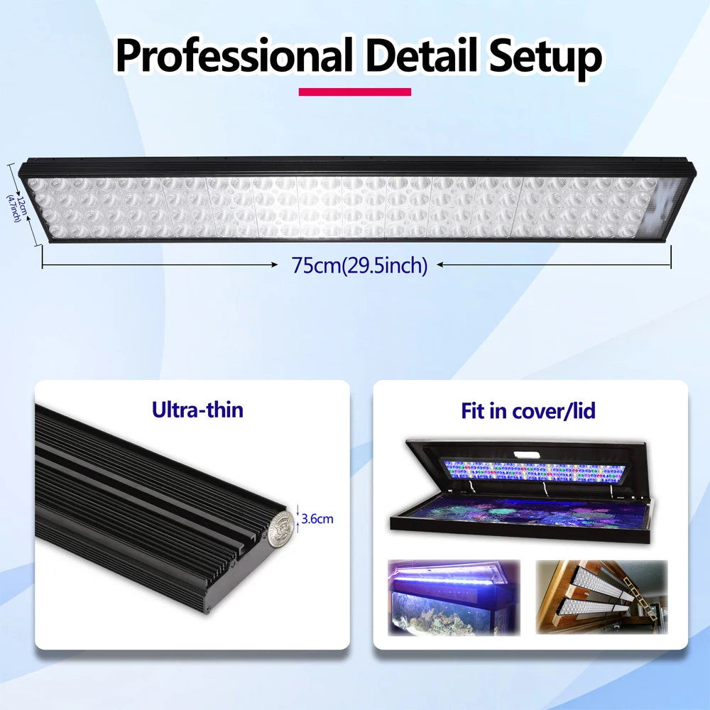 PopBloom Full Spectrum LED Lighting for Reef Aquariums