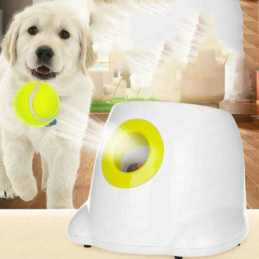 Automatic Dog Ball Launcher For Endless Fun And Exercise