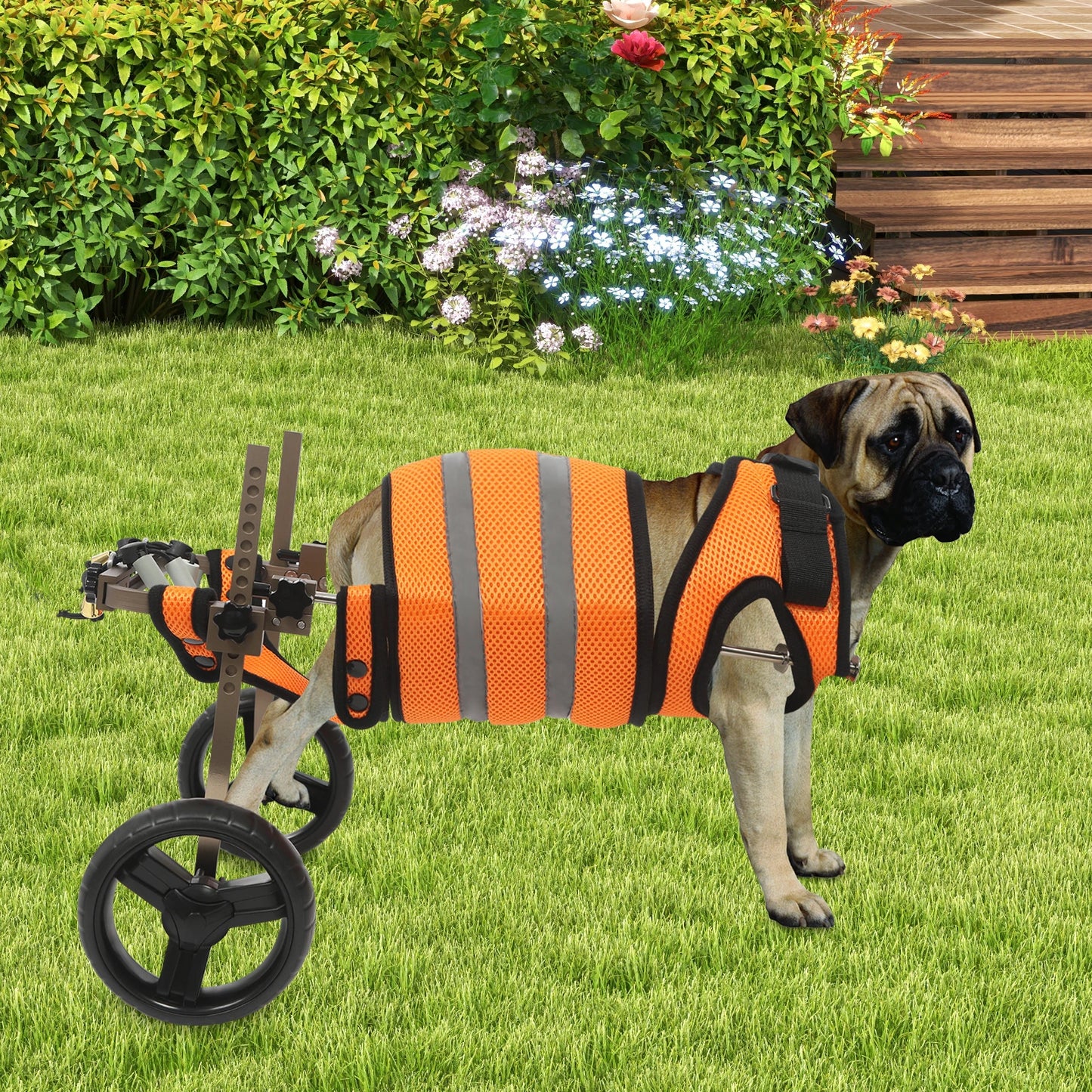 Adjustable Pet Wheelchair For Back Legs Aluminum Frame