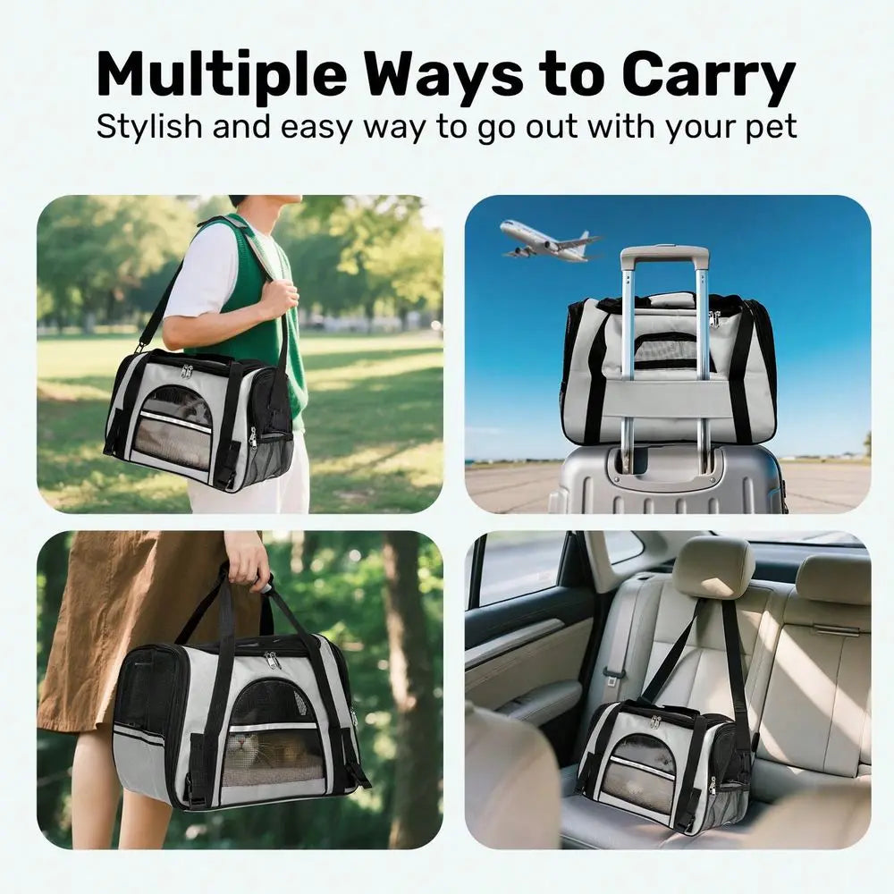Foldable Soft-Sided Pet Carrier – Up to 20 lbs