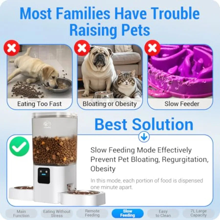 WiFi Enabled Automatic Pet Feeder For Cats With App Control