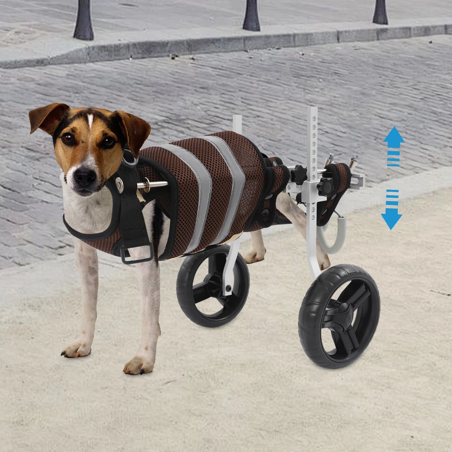 Adjustable Pet Wheelchair For Back Legs Aluminum Frame