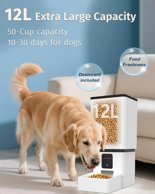 Smart Automatic Dog Feeder With Camera And WiFi App Control