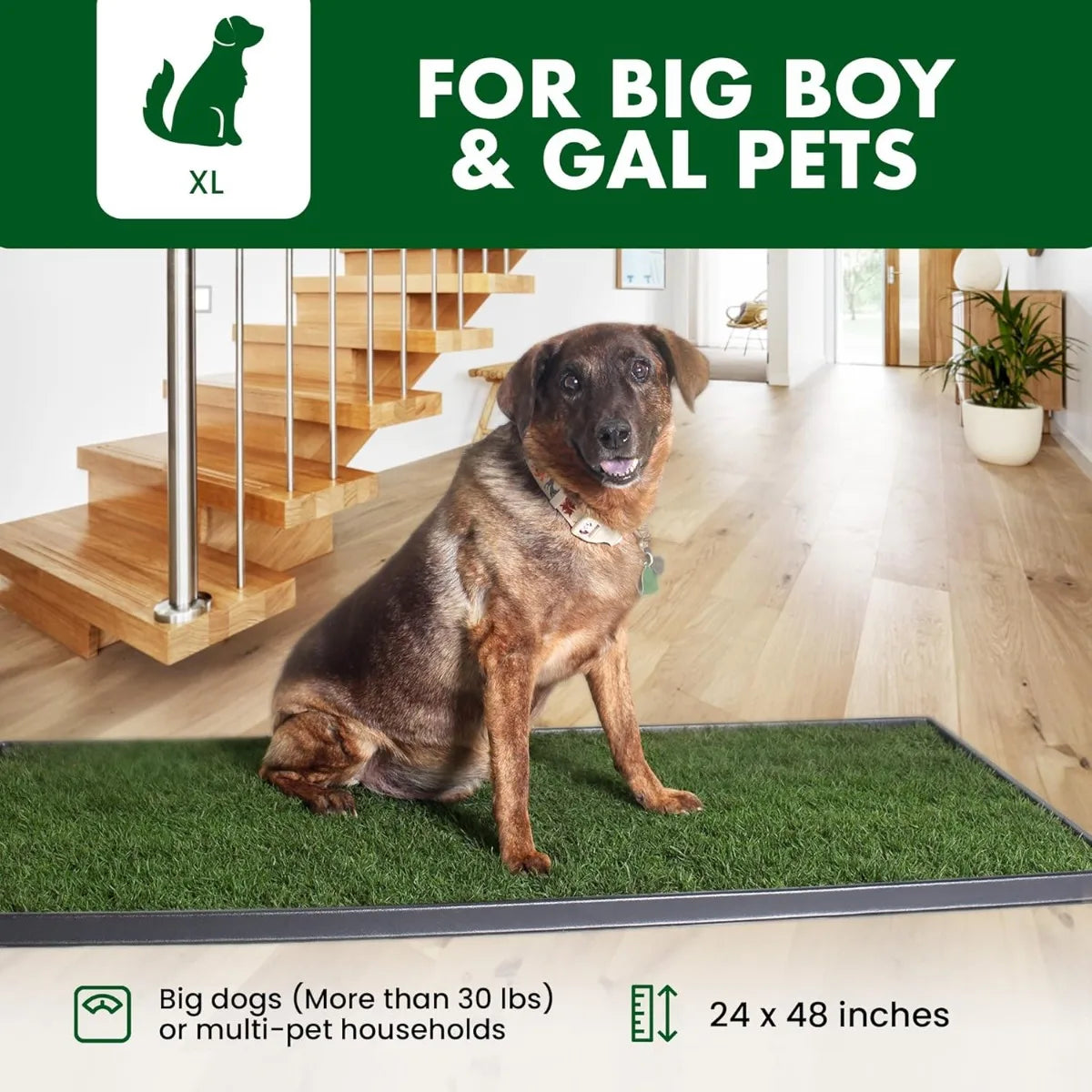 Real Grass Pet Potty Pad With Tray For Indoors Usage