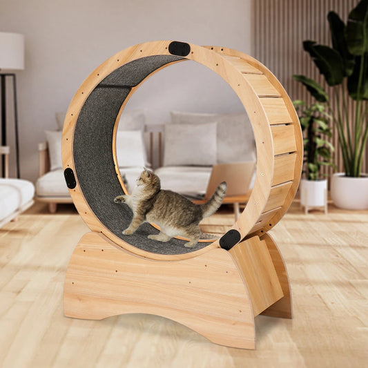 Cat Exercise Wheel Treadmill For Running Spinning Scratching