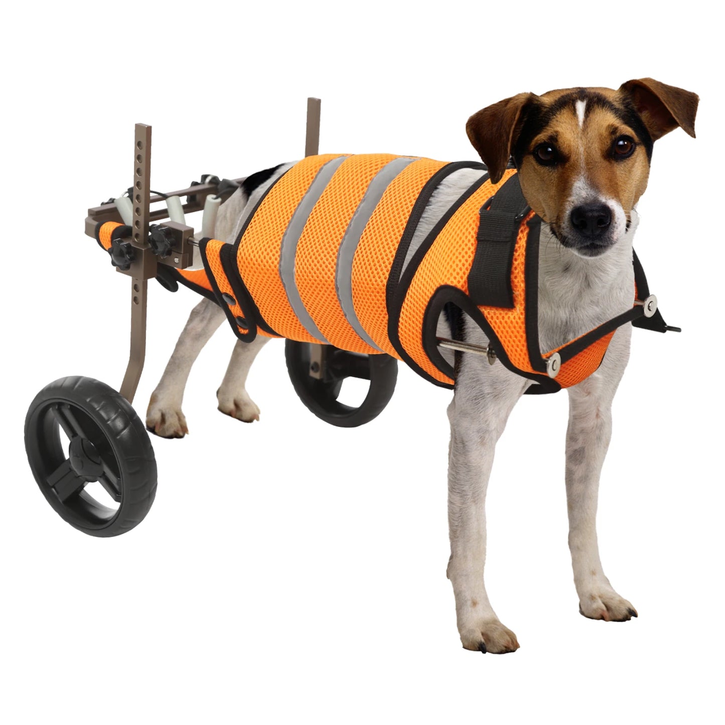 Adjustable Pet Wheelchair For Back Legs Aluminum Frame