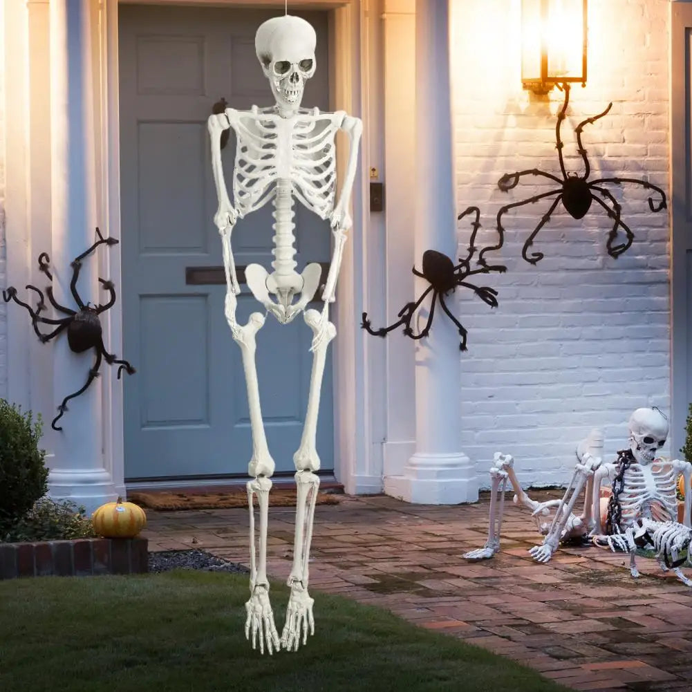 Poseable Skeleton Prop for Halloween Decoration and Party