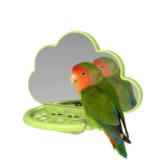 Bird Mirror with Perch for Parrots and Cockatiels