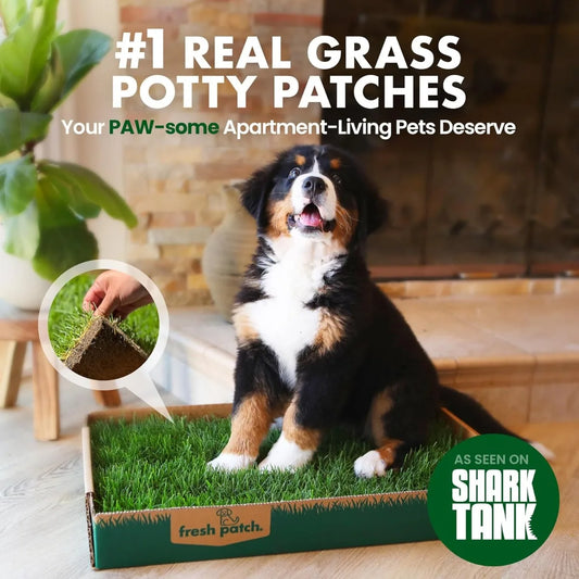 Real Grass Pet Potty Pad With Tray For Indoors Usage