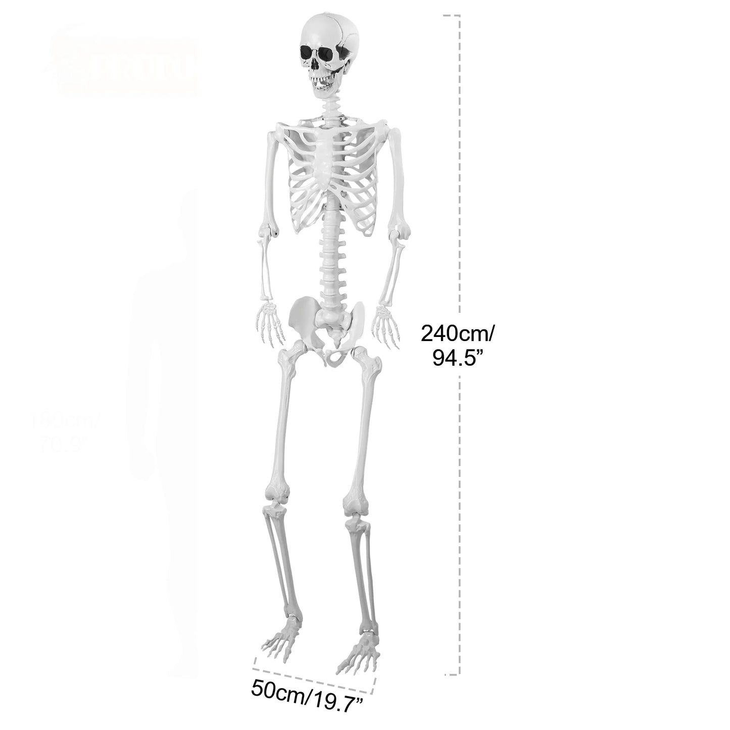 Light Up Skeleton With Movable Joints And Glowing Eyes