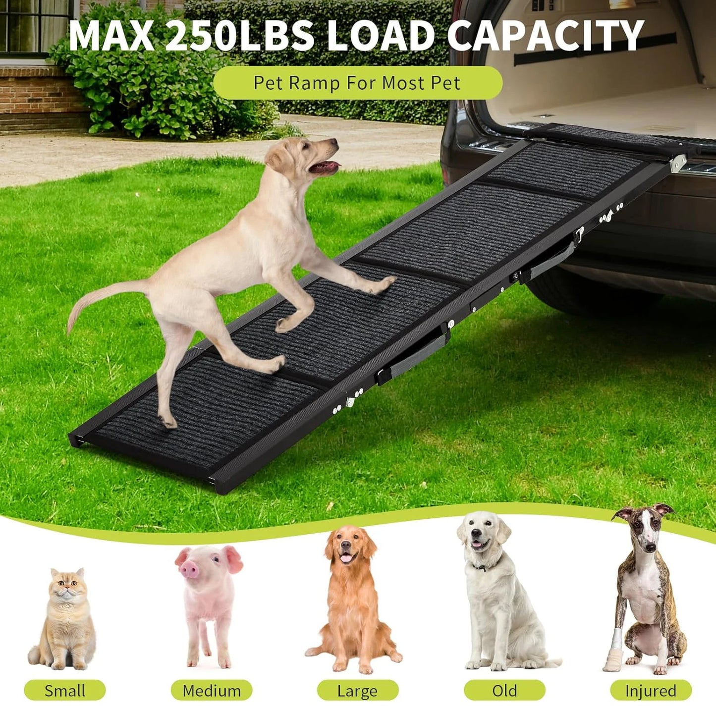 Folding Aluminum Dog Car Ramp with Non-Slip Surface – 250 lb Capacity
