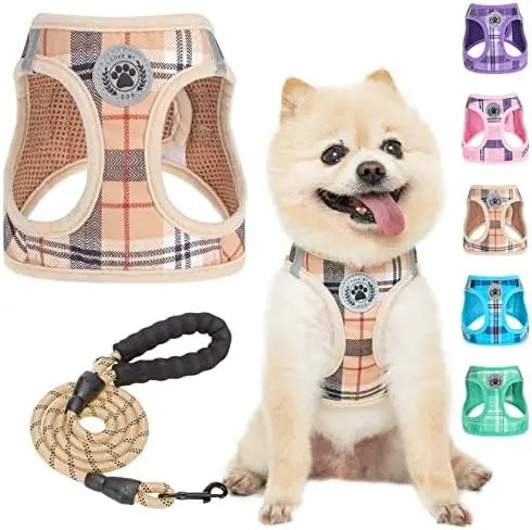 Reflective Pet Harness Set With Leash For Safe Walks