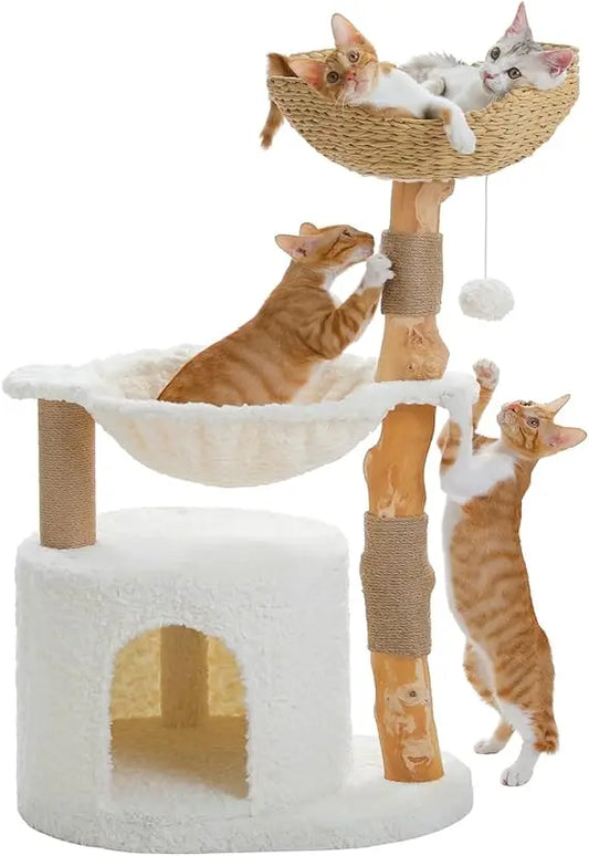 Modern Cat Tree with Natural Wood Scratching Post and Hammock