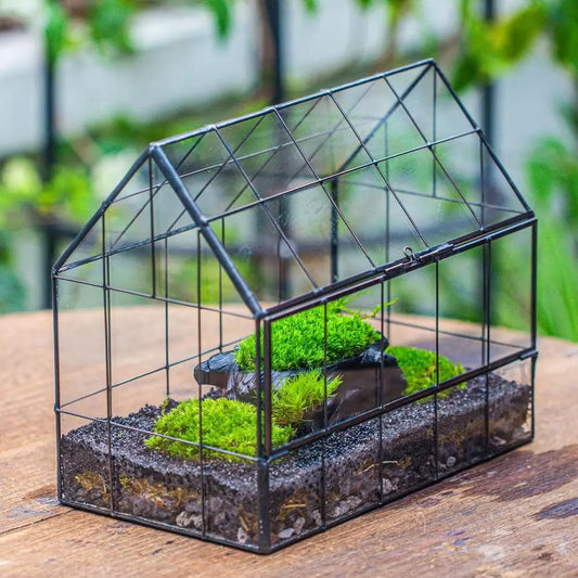 House Shape Glass Terrarium With Front Opening Door For Succulents