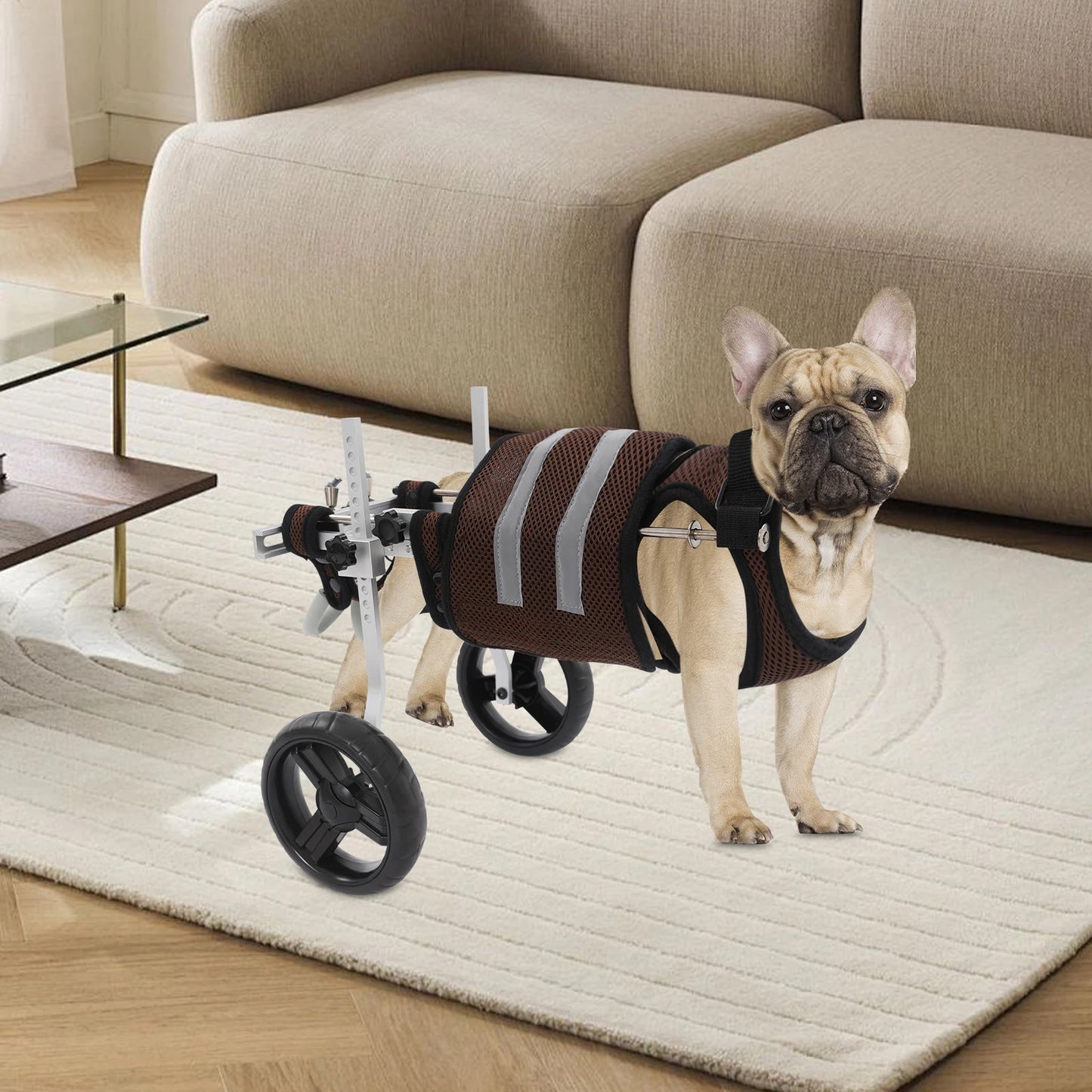 Adjustable Pet Wheelchair For Back Legs Aluminum Frame